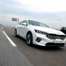 주식회사 더아이리스 이미지