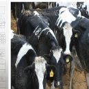 김주목장 이미지