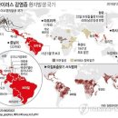 그래픽바이러스 이미지