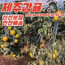 중대농장 이미지