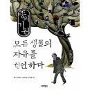 너머 이미지