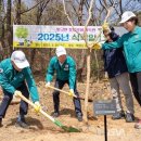 부산진구-8 이미지