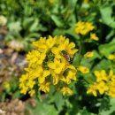 승모농장 이미지