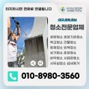 영토탈크리닝 이미지