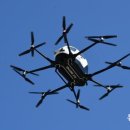 개인(이항) 이미지