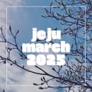 2025년 3월의 제주 | 맥주, 커피, 베케, 바람, 피아노와 미술, 휴식, 여행의 시간