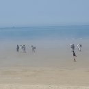 일번지펜션 이미지