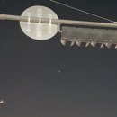 트루직 이미지