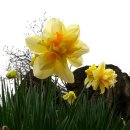 삼일공원 이미지