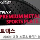 자동차 꾸미기 쇼핑하우