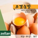 오경(젤란) 이미지