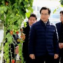올스마트