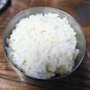산바다야생화