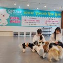 약지애견카페 이미지