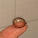 안경나라사창점 위드렌즈 | 멜팅헤이즈 원데이 브라운/안경나라 위드렌즈 청주사창점/서이추환영