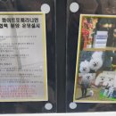 에이펫(A-PET) 이미지