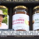 빈스구아바농장