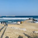 세븐일레븐 주문진도깨비점 이미지