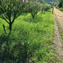 (유)영신정비 이미지