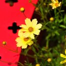 우리파크 이미지