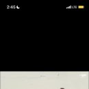 노스텔지어 힐로재 이미지