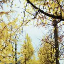 휘닉스공인중개사사무소 이미지