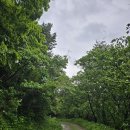 배둔시외버스터미널 이미지