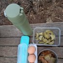 수리산산림욕장(태을초교뒤) | 혼산의 장단점을 생각하며 군포 수리산 산행