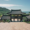 매미와 함께하는 여름여행 이미지