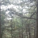 석수역1번출구 앞 이미지