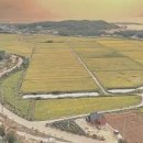 학원농장민박 이미지