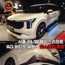 고려리프트 | 서울 카니발 페이스리프트 ag 바디킷 세트 장착 후기+빌스콘티 튜닝