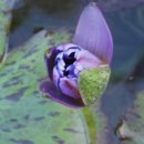 백운건축사사무소 이미지