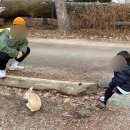 빛나키즈랜드1 이미지