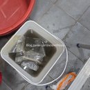 우수식품 | 사천 시스템에어컨 분해청소]사천 반찬가게 에어컨청소 후기 | 음식점•식품매장 위생관리 필수 | 우수케어