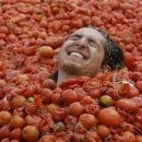 수박&토마토 축제 이미지