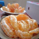 솔티농장 이미지