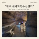 제주세계자연유산센터 세계유산전시관 | 제주세계자연유산센터 아이와 함께 4D체험, VR체험 후기