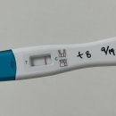 임신 기록 | 3~5주차 증상, 임테기 역전, 임테기 후크현상, 혈액 검사, 아기집 확인