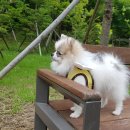 멍데렐라 이미지