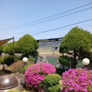 길안천 돌담집 이미지