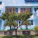 매화면사무소 이미지