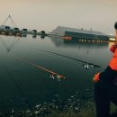 서해대교바다낚시터 이미지