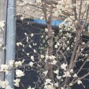 삼대광양불고기집 이미지