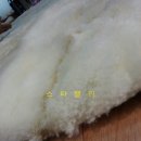 믿음세탁 이미지