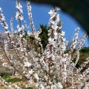 호산농원 이미지