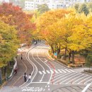 정진석 | 고갈된 에너지에서 다시, 성장의 리듬으로 – Pro-MBA 90기 정진석 원우 인터뷰