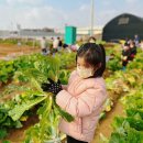 아양농장 이미지