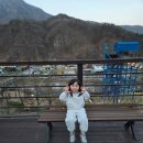 새재리아 이미지