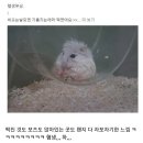 INFJ들이 공감하는 sns 댓글들 이미지